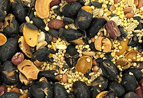 肥料